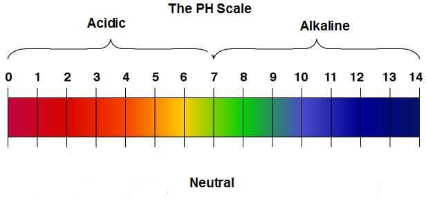 scala-ph-metabolismo